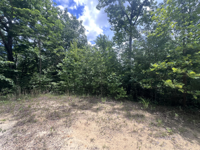 Listing Image 33