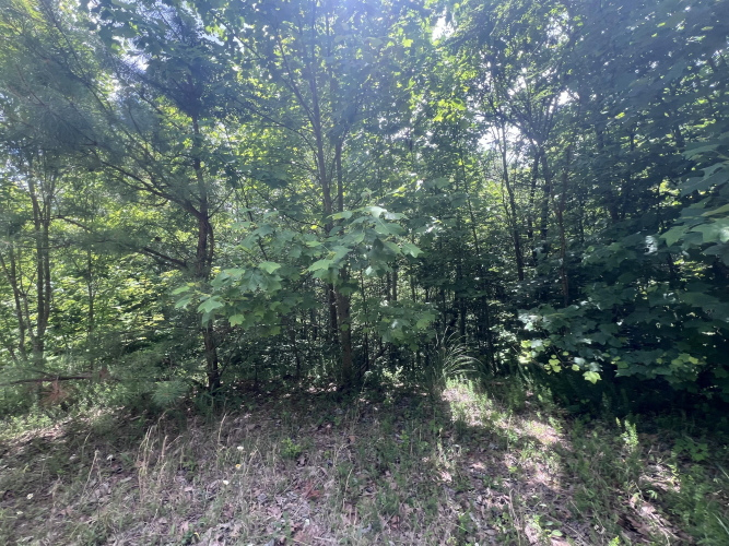 Listing Image 34