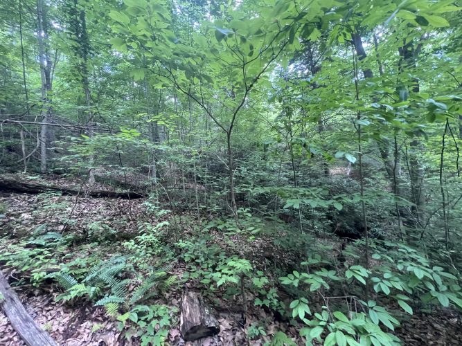 Listing Image 36