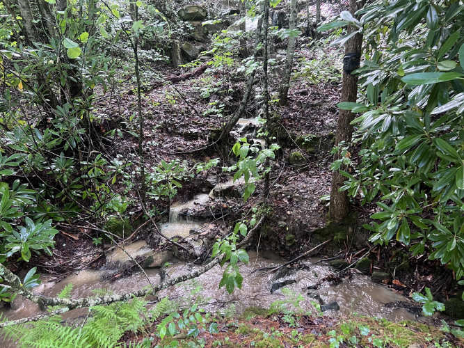 Listing Image 43