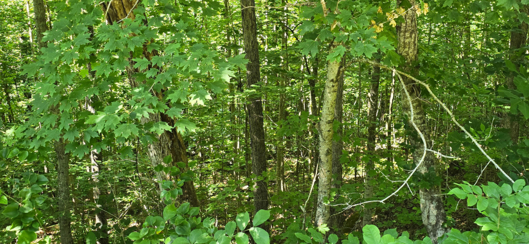 $37500