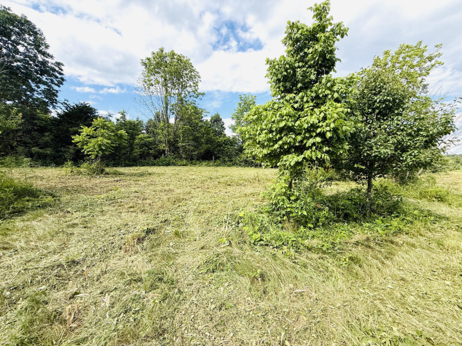 Listing Image 24