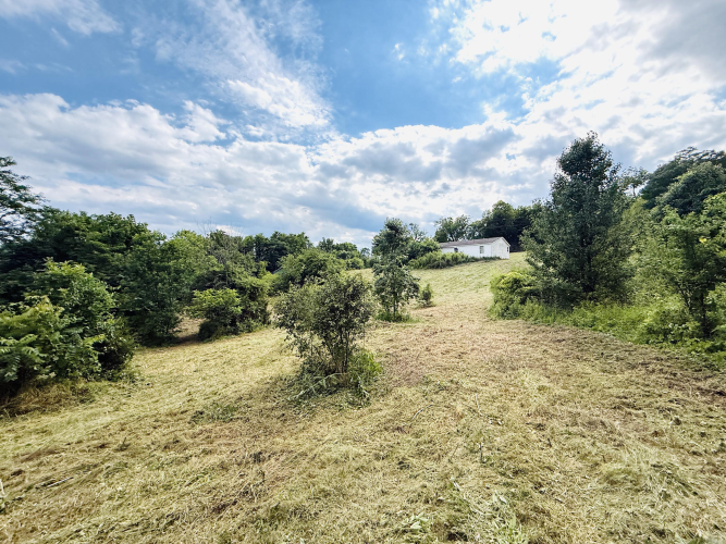 Listing Image 18