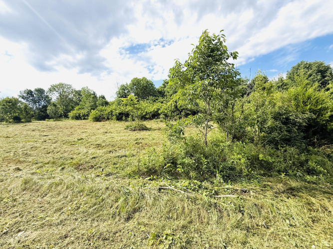 Listing Image 27