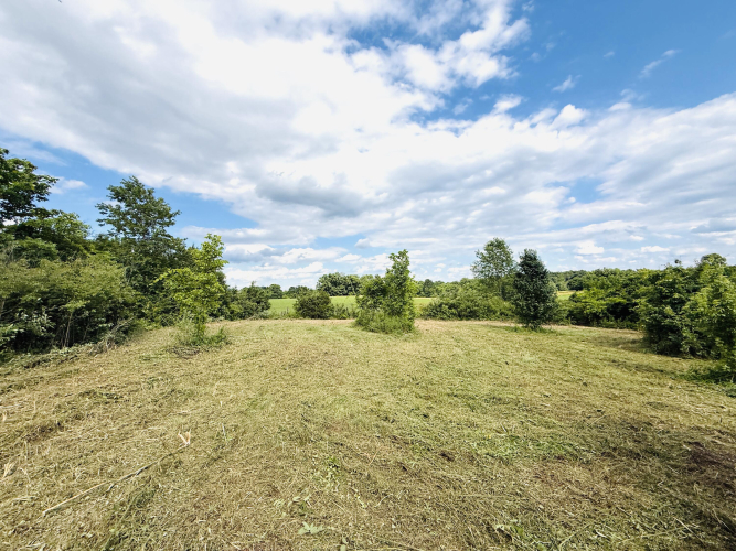 Listing Image 29
