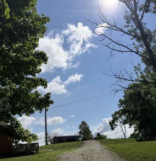 Listing Image 48