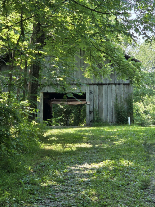 Listing Image 57