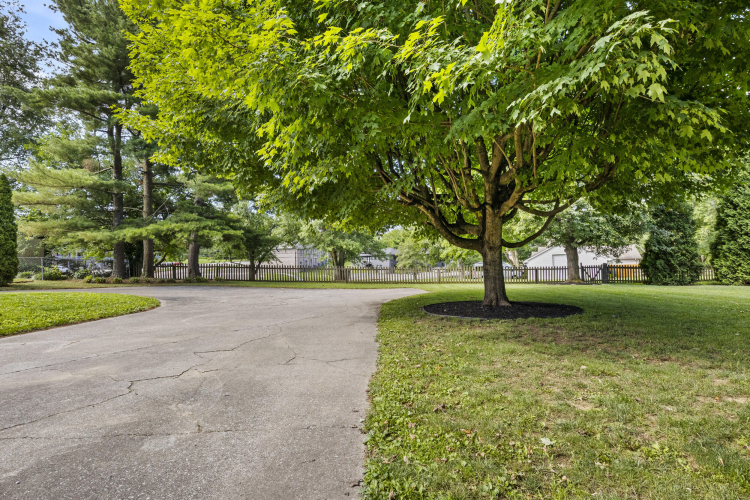 Listing Image 51