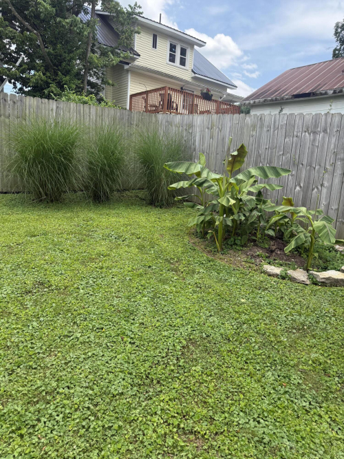 Listing Image 30