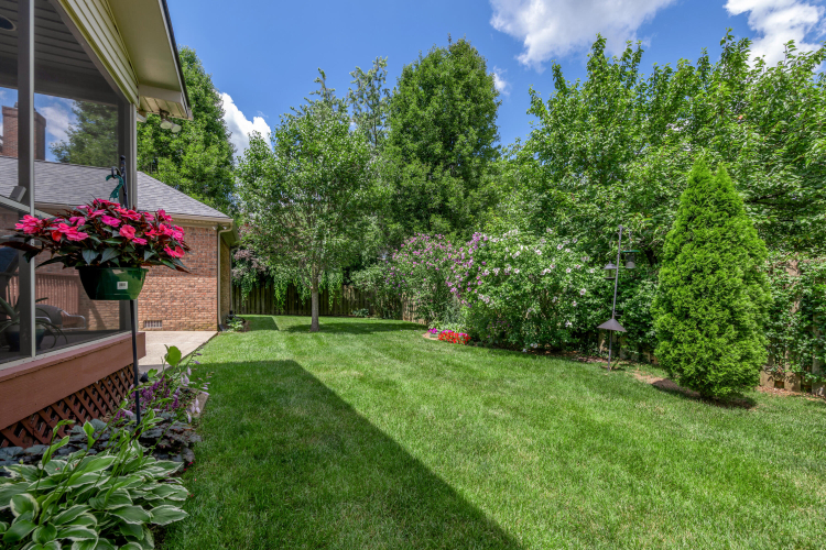 Listing Image 58