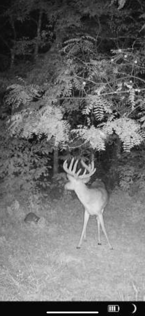 Listing Image 53