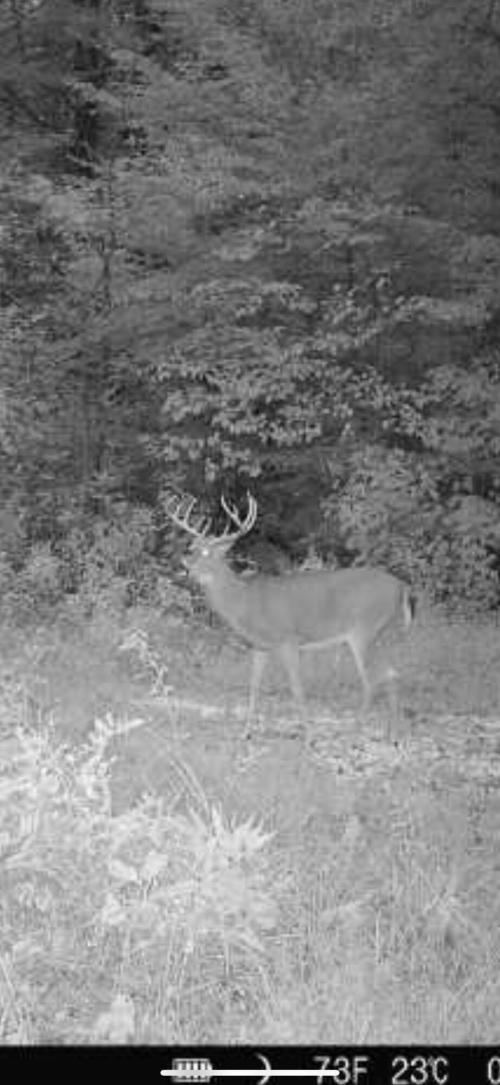 Listing Image 56