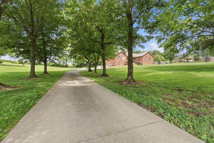 Listing Image 25