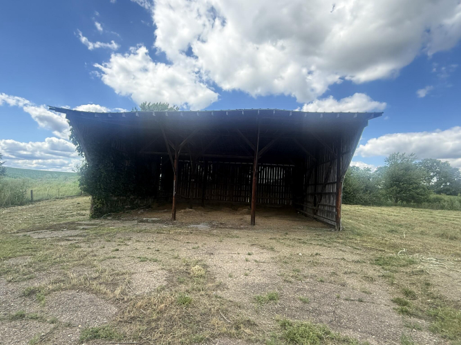 Listing Image 29