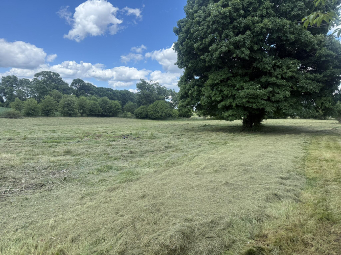 Listing Image 30