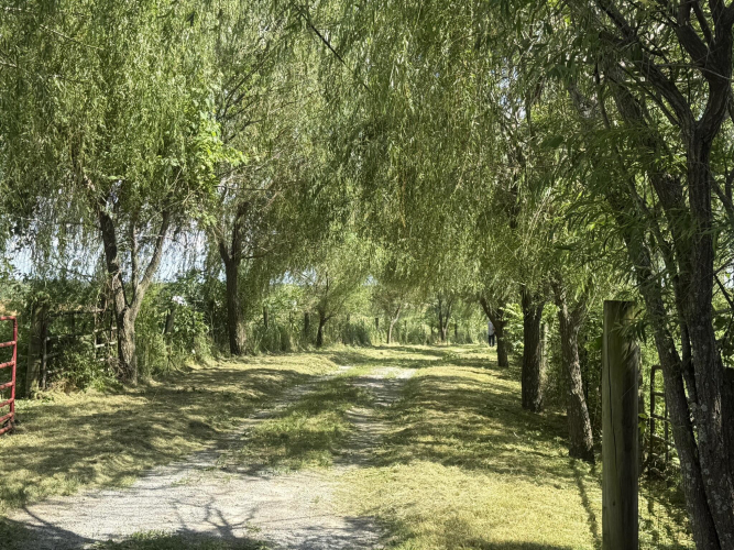 Listing Image 32