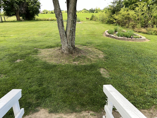 Listing Image 16