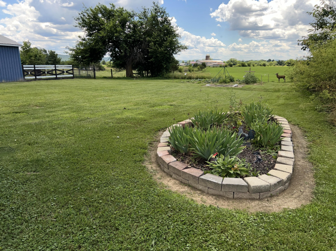 Listing Image 17