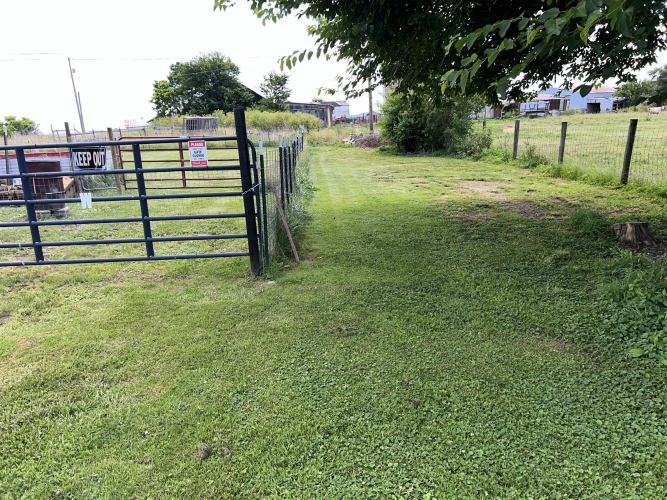 Listing Image 23