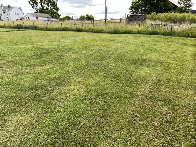 Listing Image 25