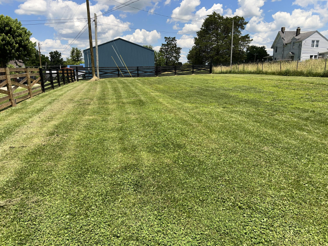 Listing Image 30