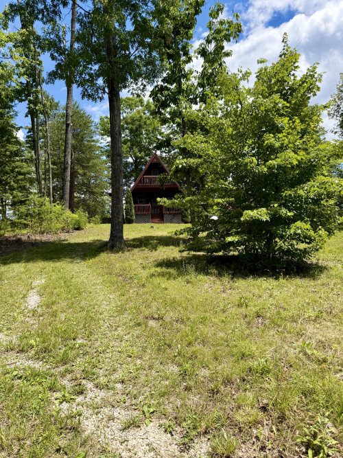Listing Image 42