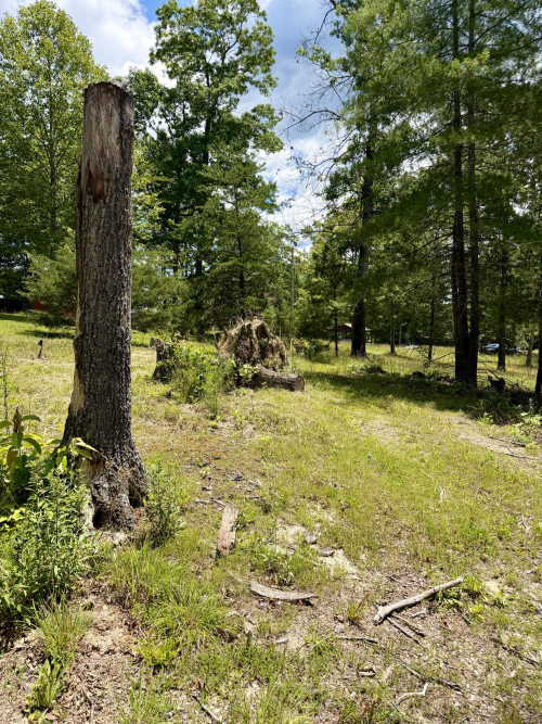 Listing Image 43