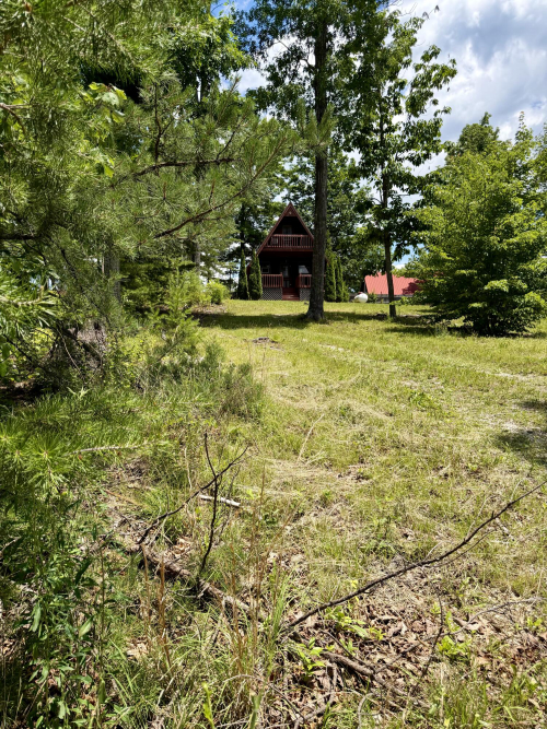 Listing Image 44