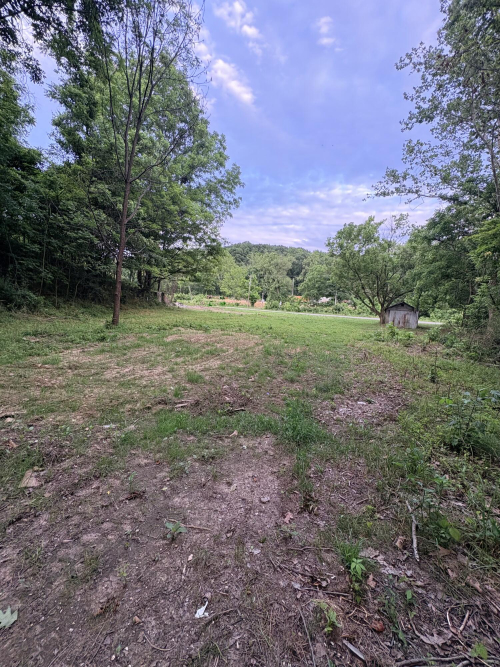 Listing Image 16