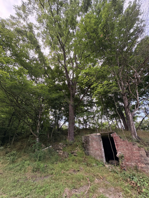 Listing Image 24