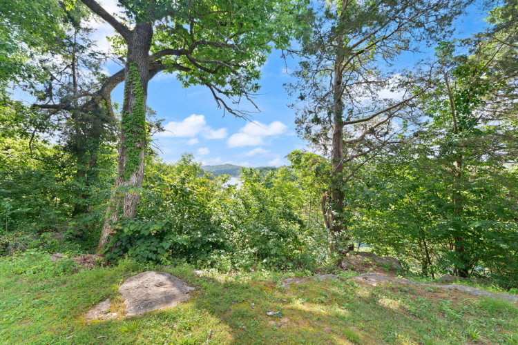 Listing Image 64