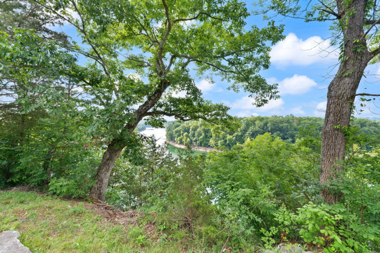 Listing Image 65