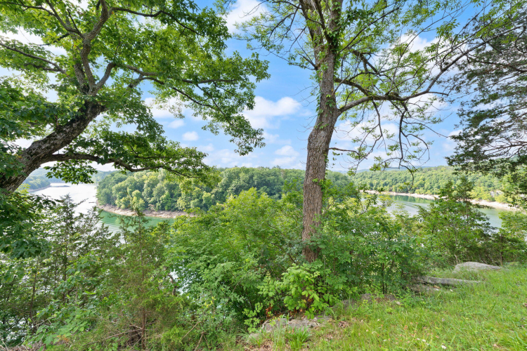 Listing Image 66
