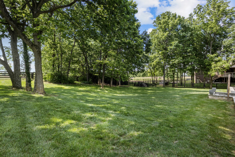 Listing Image 73