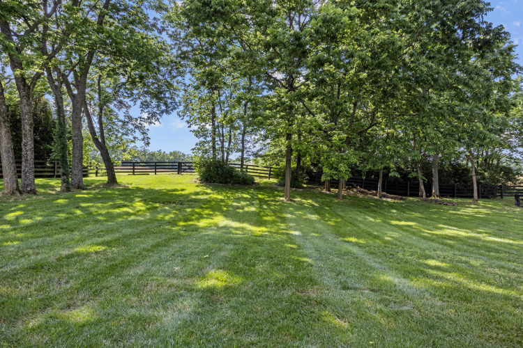 Listing Image 74
