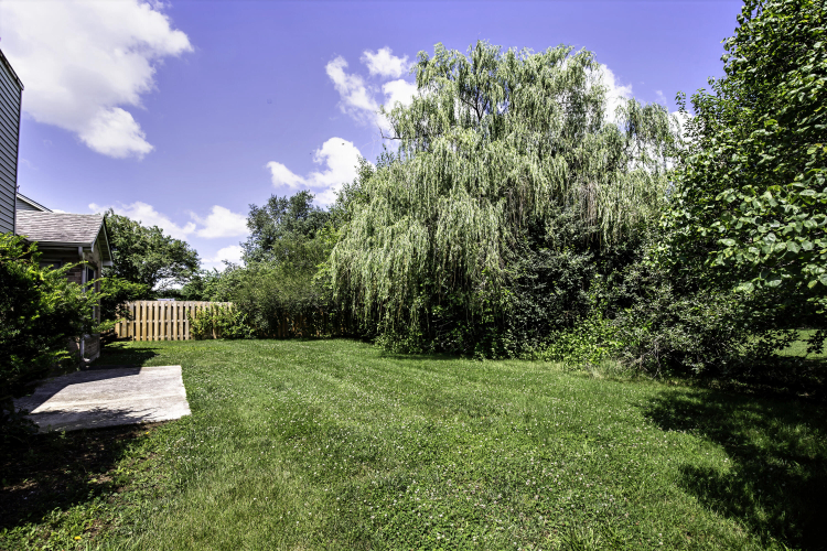 Listing Image 6