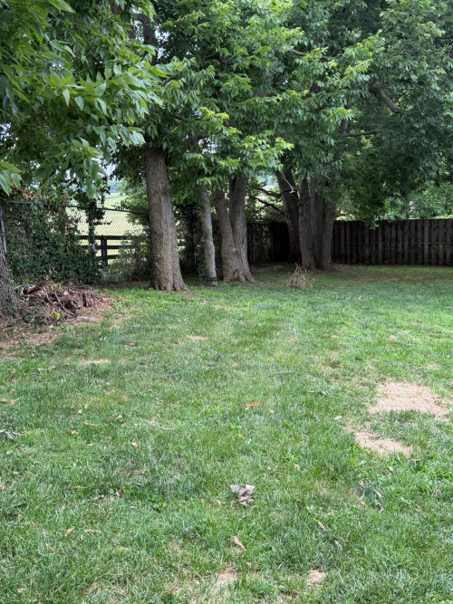 Listing Image 30
