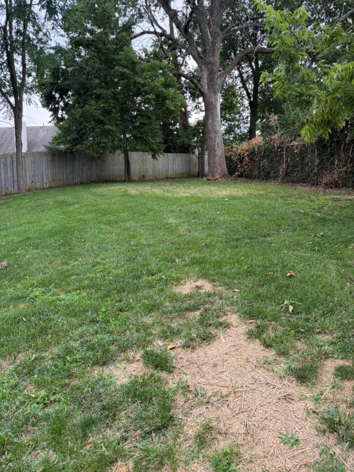 Listing Image 31