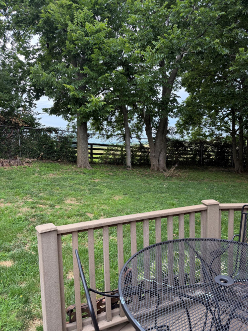 Listing Image 32