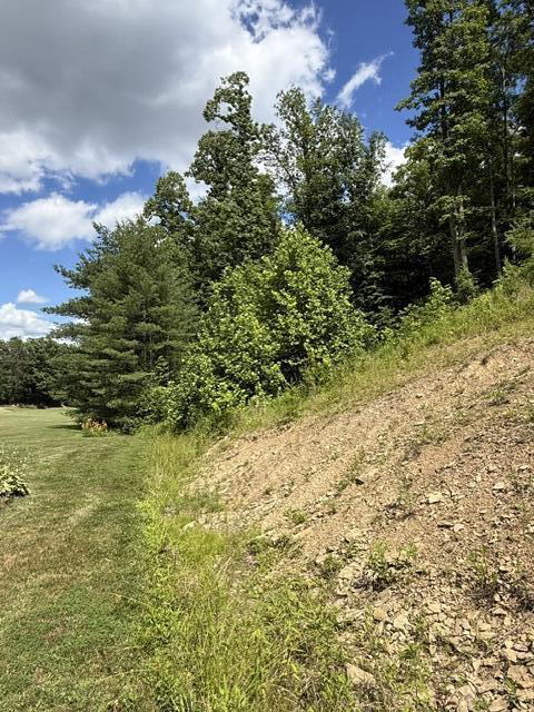 Listing Image 51