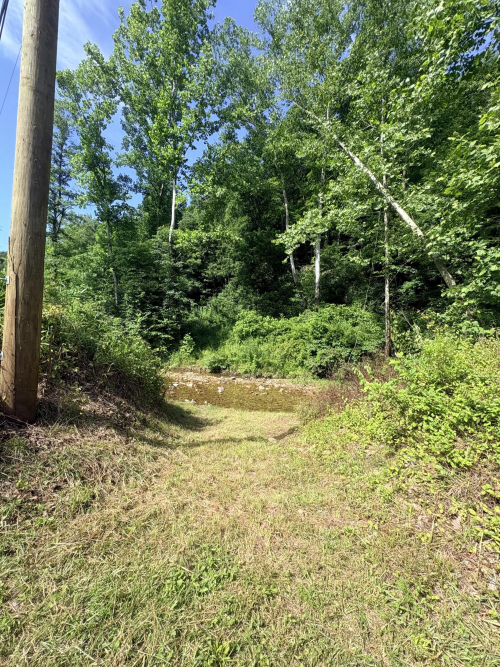 Listing Image 72