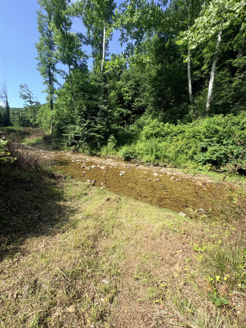 Listing Image 73