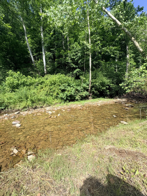 Listing Image 74