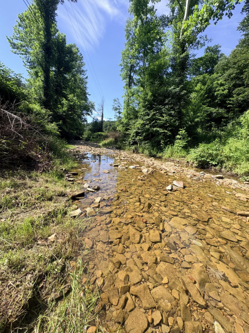 Listing Image 75