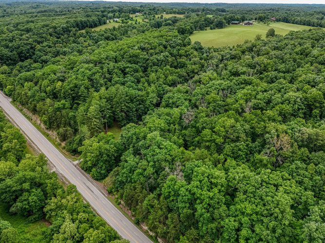 Listing Image 54