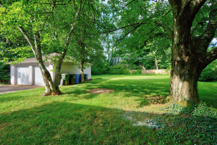 Listing Image 28