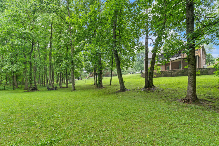 Listing Image 143