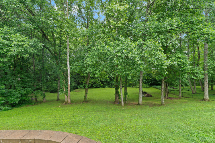 Listing Image 150