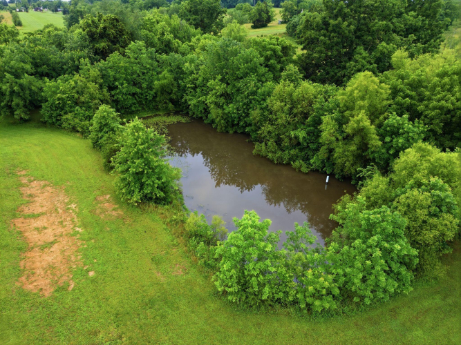 Listing Image 54
