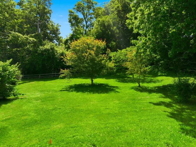 Listing Image 51